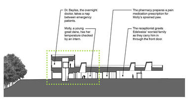 Gallery of Memphis Veterinary Specialists / archimania  - 19