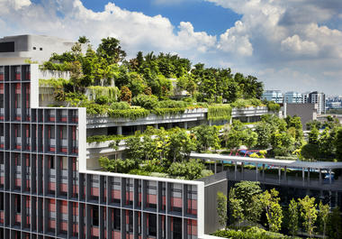 Gallery of Kampung Admiralty / WOHA  - 12