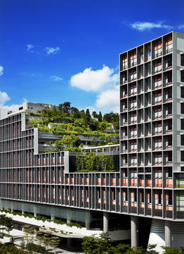 Gallery of Kampung Admiralty / WOHA  - 17