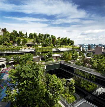 Gallery of Kampung Admiralty / WOHA  - 5