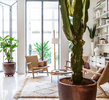 Apartamento en Calle Argentona / YLAB Arquitectos