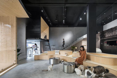 Meow Restaurant  / E Studio