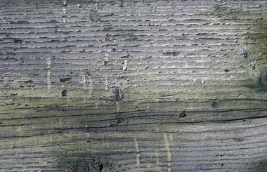 Gallery of A Library of 100 Downloadable Photoshop Textures  - 22