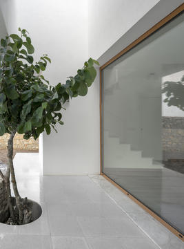 Gallery of SP House / Gonçalo Duarte Pacheco  - 17