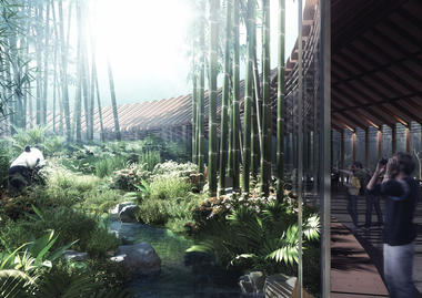 HASSELL projeta uma reserva para Ursos Pandas em Chengdu, China