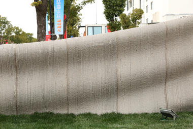Gallery of World's Largest 3D-Printed Concrete Pedestrian Bridge Completed in China  - 5
