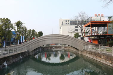 Gallery of World's Largest 3D-Printed Concrete Pedestrian Bridge Completed in China  - 6