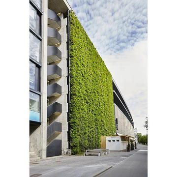Gallery of Green Facades - 6