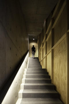 Gallery of Multicarpet Rollux Showroom  / +arquitectos  - 14