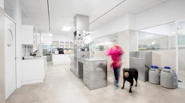 Constitución Veterinary / Dobleese Space & Branding