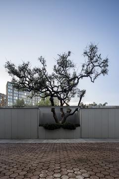 Galería de Casa VR / Alexanderson Arquitectos  - 2
