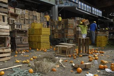 ONU pretende integrar políticas de alimentação ao planejamento urbano