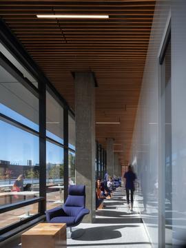 Gallery of Life Sciences Building for the University of Washington / Perkins+Will  - 11