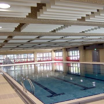 Gallery of Silk Metal™ Microperf Acoustical Panels - 3