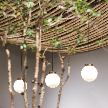 Gallery of Miligrão Store / Moca  - 2
