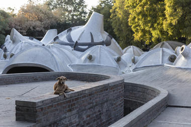 Galería de 7 proyectos que debes conocer del ganador del Premio Pritzker 2018, B.V. Doshi  - 4