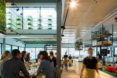 Gallery of The Green House / architectenbureau cepezed  - 5