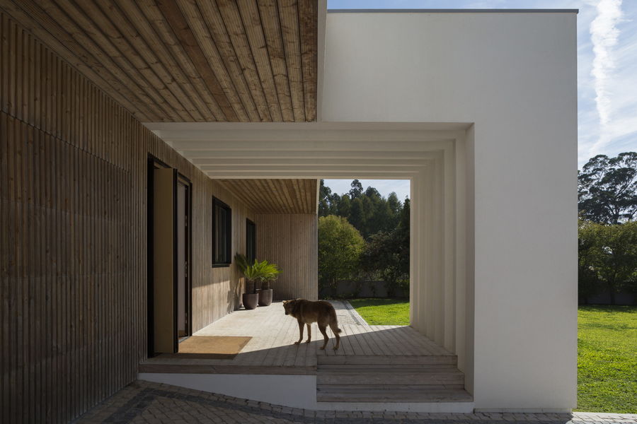 ANIMALS AND ARCHITECTURE de Martita Vial della Maggiora ArchDaily