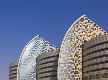 Gallery of Sidra Medical and Research Center / Pelli Clarke Pelli Architects  - 8