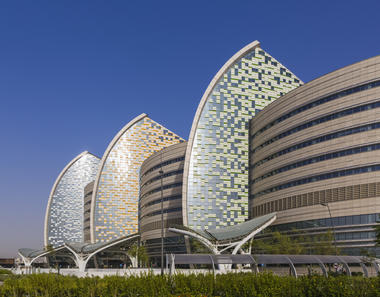 锡德拉医疗研究中心 / Pelli Clarke Pelli Architects