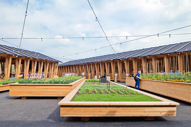 Gallery of Urban Farming: Food Production in Community Parks and Private Gardens  - 6