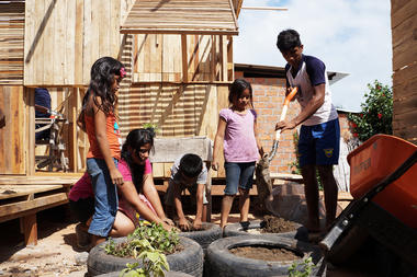 Gallery of Urban Farming: Food Production in Community Parks and Private Gardens  - 18