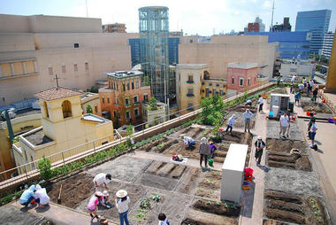 Gallery of Urban Farming: Food Production in Community Parks and Private Gardens  - 14