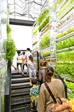 Gallery of Greenhouse as a Home / BIAS Architects  - 19