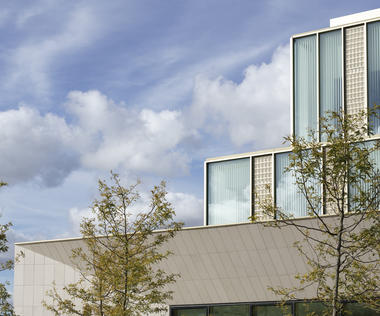 Gallery of Confucius Institute at UCD Belfield Campus / Robin Lee Architecture  - 10