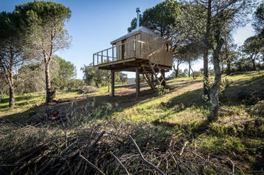 Gallery of Tree House / Madeiguincho  - 2