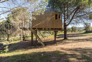Gallery of Tree House / Madeiguincho  - 19