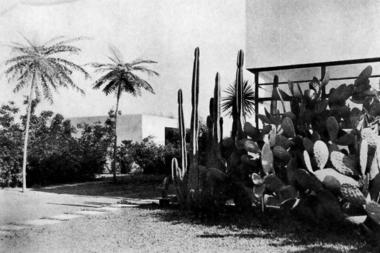 Os jardins de Mina Klabin Warchavchik: modernidade pública e privada