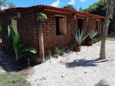 Diseñan casa a base de sargazo con 50% menos recursos del costo total de una casa de interés social