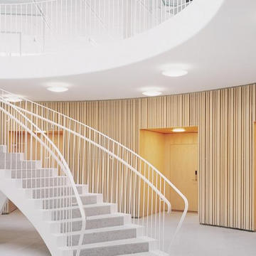 Gallery of Wood Cladding - Linear Rib - 7