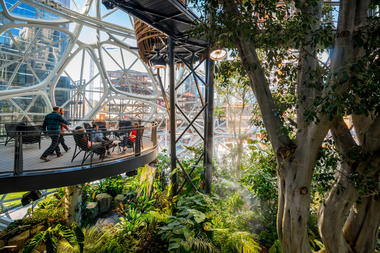 Gallery of Amazon Spheres / NBBJ  - 7