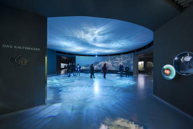 Gallery of The Blue Planet / 3XN  - 2