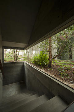 Galería de Casa Phoenix / Sebastian Mariscal Studio  - 3