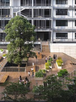 Gallery of The Planting Terrace And The Experience Pavilion / MOZHAO ARCHITECTS  - 4