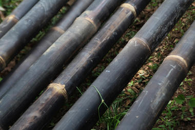 Surprising Material Alert: The Black Bamboo
