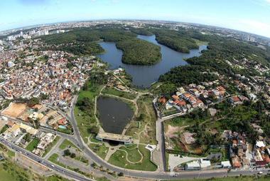 Salvador e São Paulo investem em iniciativas para recuperar a Mata Atlântica