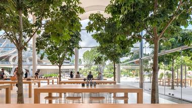 Gallery of Foster + Partners  Envisions Miami's New Apple Store as a Nod to Nautical Heritage  - 3