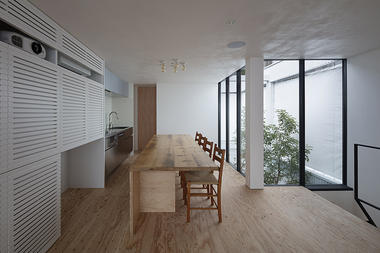 Casa 8 / arbol