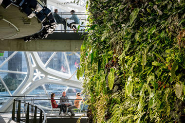 Gallery of Amazon Spheres / NBBJ  - 4
