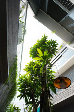 Gallery of The Soul Home / Ho Khue Architects  - 14
