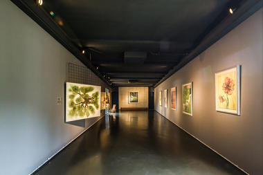 Gallery of SSR Cultural Complex  / KEAB  - 7