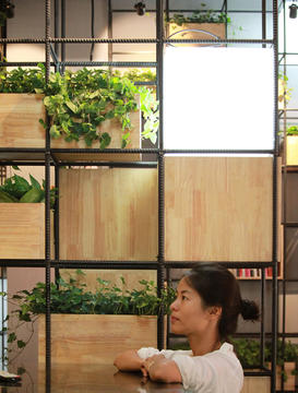 Galeria de 10 plantas resistentes que sobreviverão em ambientes com pouca luminosidade  - 8