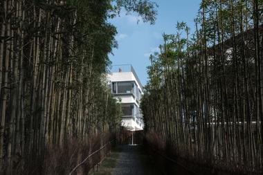 Gallery of House of Windows / PROJECT  - 6