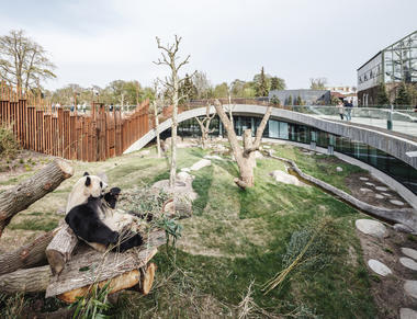 Gallery of Panda House Observation Center / BIG  - 2
