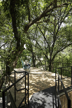 Gallery of House in the Woods / WEYES Estudio  - 18