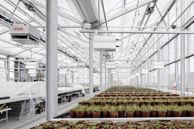 Gallery of Administration Building with Rooftop Greenhouse / Kuehn Malvezzi  - 3